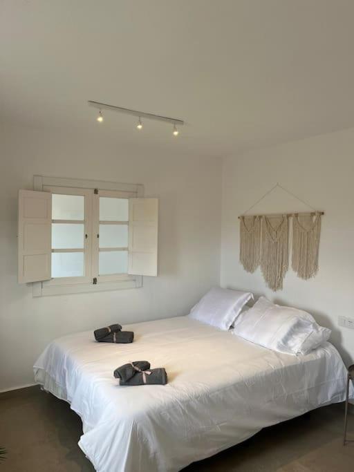 Apartamento Casa Plaza 2